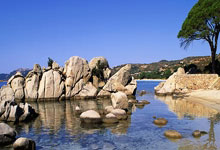 Ubisoft Stock: The Future Potential